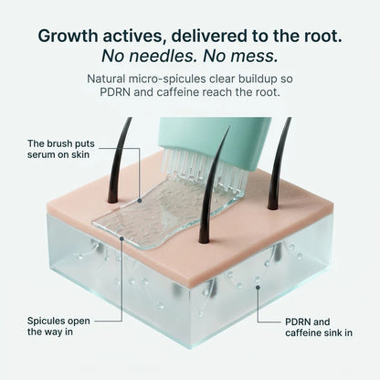 Fuller-Looking Roots in 12 Weeks, 30 Seconds a Day