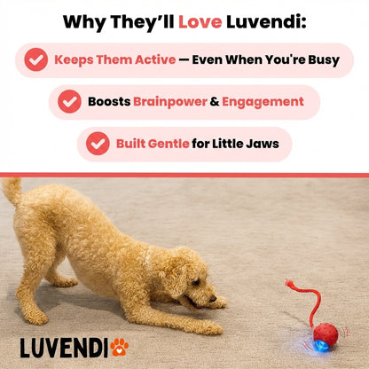 Luvendi™ Ultimate Stimulation Bundle